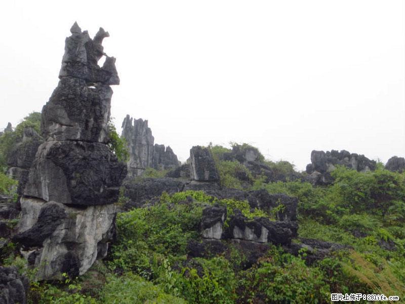 桂林旅游名城景点:灌阳文市石林 - 游山玩水 - 咸宁生活社区 - 咸宁28生活网 xianning.28life.com