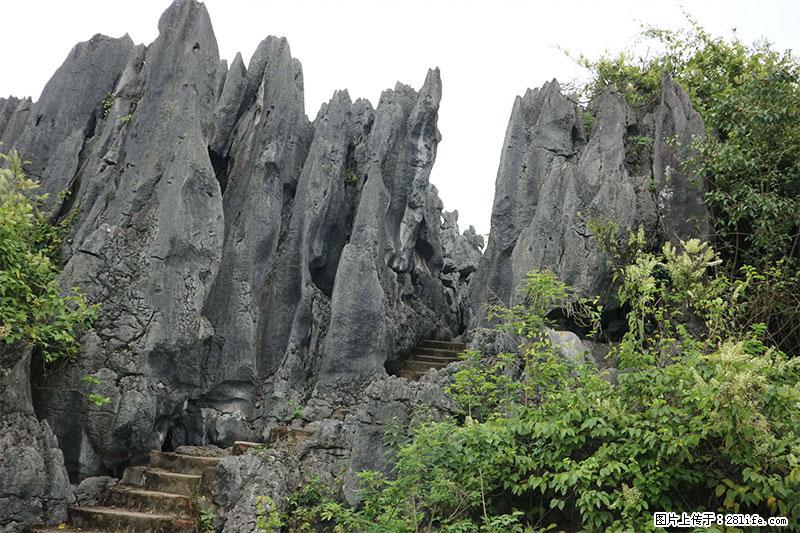 桂林旅游名城景点:灌阳文市石林 - 游山玩水 - 咸宁生活社区 - 咸宁28生活网 xianning.28life.com