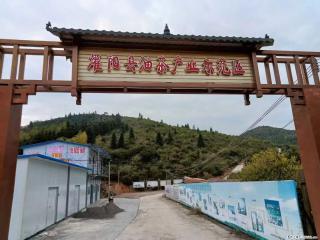 【灌阳县油茶产业示范区】一个有着充实的精神生活的人,对待身外之物自会有一种淡泊的态度 - 咸宁28生活网 xianning.28life.com