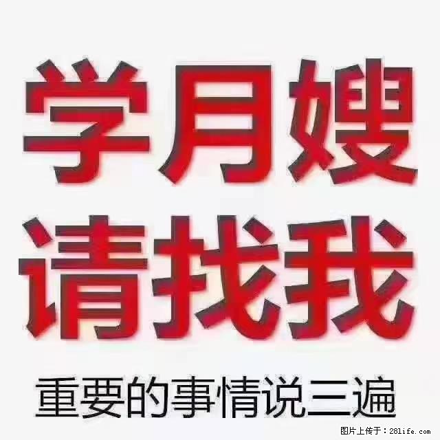 【招聘】月嫂,上海徐汇区 - 其他招聘信息 - 招聘求职 - 咸宁分类信息 - 咸宁28生活网 xianning.28life.com