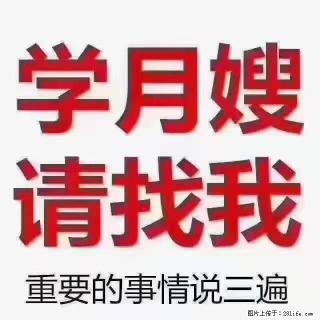 【招聘】月嫂，上海徐汇区 - 咸宁28生活网 xianning.28life.com