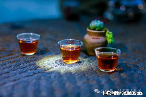 时间果百年古树2025年春红茶 - 购物交流 - 咸宁生活社区 - 咸宁28生活网 xianning.28life.com