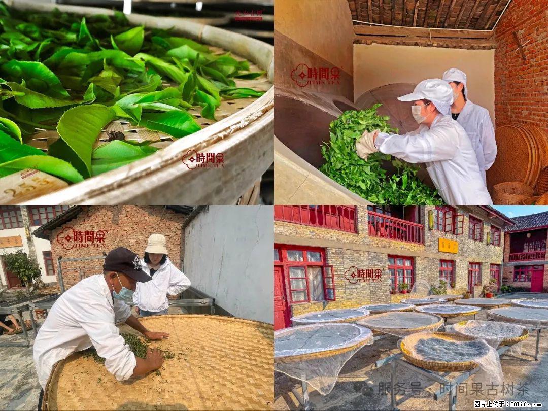 时间果百年古树龙珠普洱生茶 - 购物交流 - 咸宁生活社区 - 咸宁28生活网 xianning.28life.com