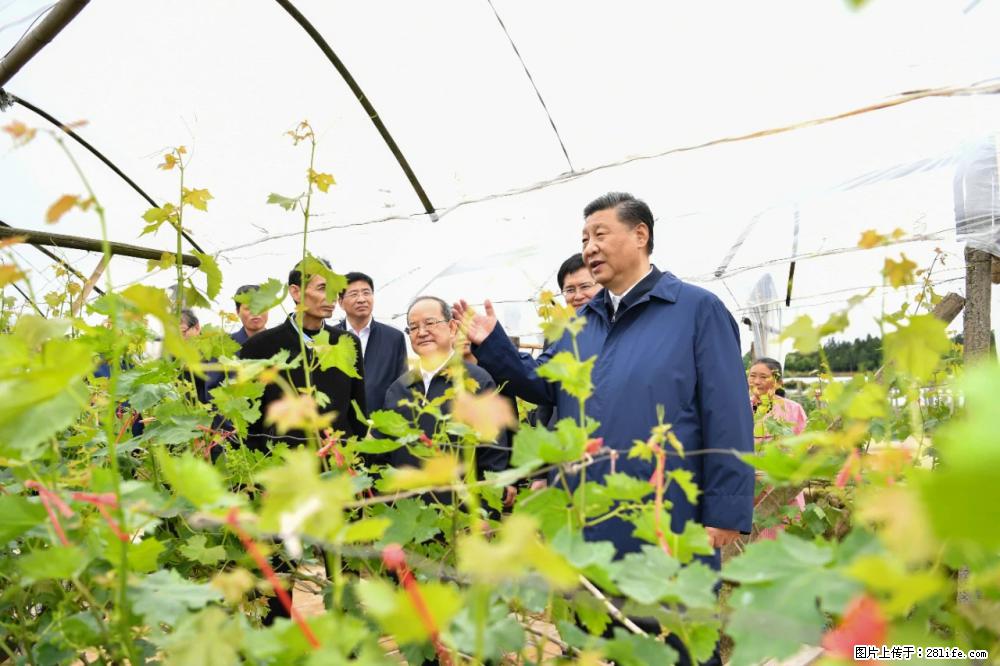 习近平赴广西考察调研 - 咸宁生活资讯 - 咸宁28生活网 xianning.28life.com