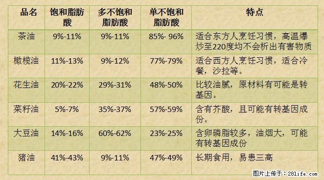 揭秘茶油的5大核心营养成分!被称为人体健康的“守护盾”! - 咸宁生活资讯 - 咸宁28生活网 xianning.28life.com