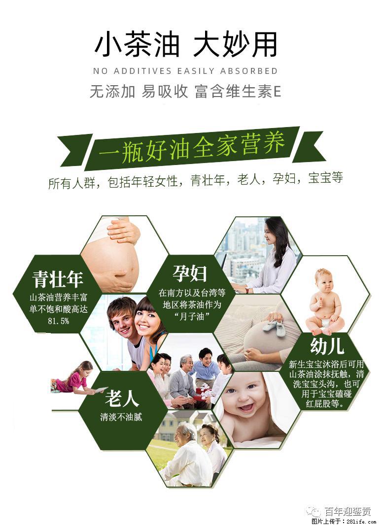 世界没有真相,只有认知,最好的食用油是中国的山茶油! - 咸宁生活资讯 - 咸宁28生活网 xianning.28life.com