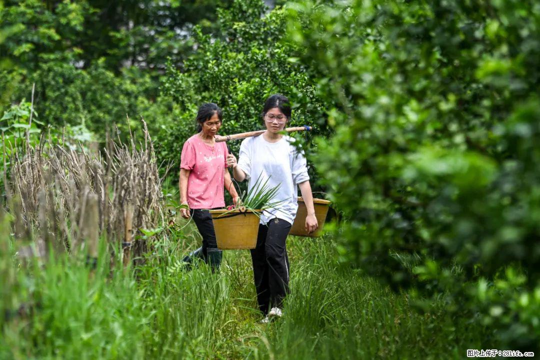 全网追的“扁担女孩”,找了一份暑假工,时薪12元 - 咸宁生活资讯 - 咸宁28生活网 xianning.28life.com