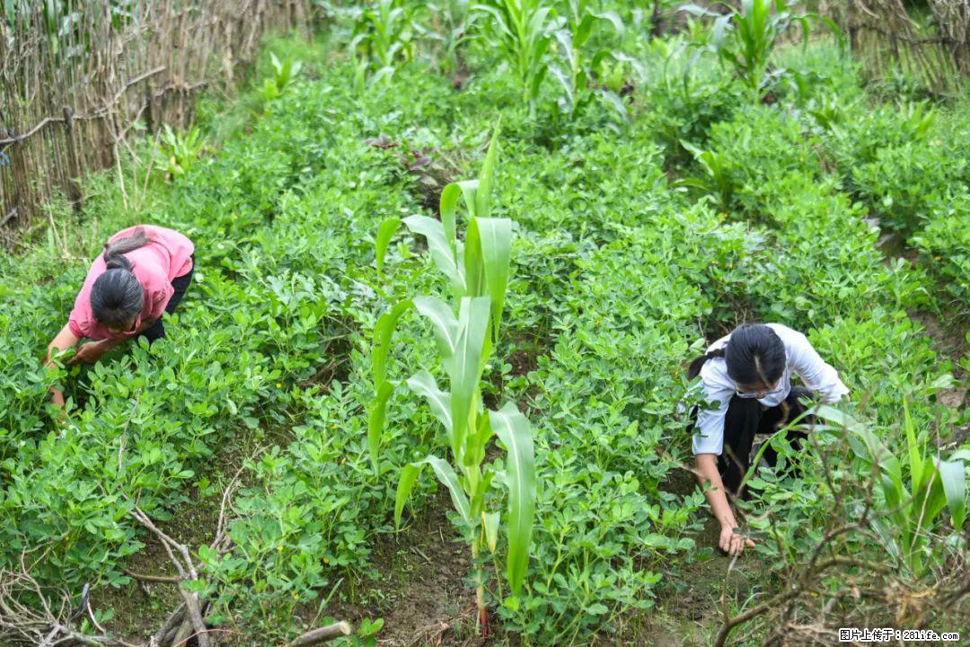 全网追的“扁担女孩”,找了一份暑假工,时薪12元 - 咸宁生活资讯 - 咸宁28生活网 xianning.28life.com