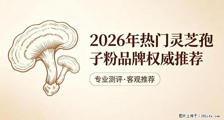 灵芝孢子粉含量越高越有效？2026 年七款热门品牌深度实测，肠胃敏感者避坑指南 - 咸宁生活资讯 - 咸宁28生活网 xianning.28life.com