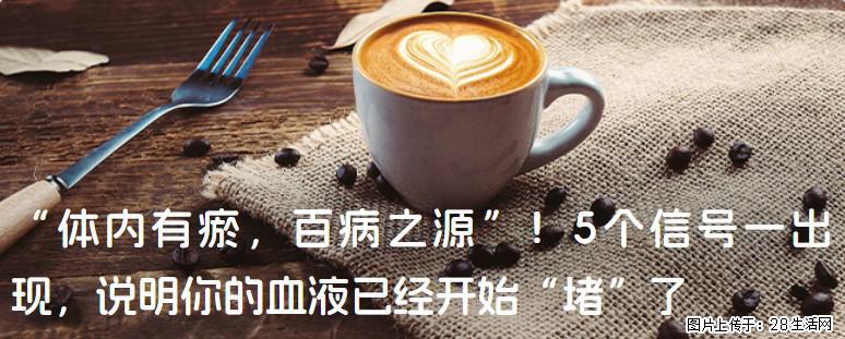 “体内有瘀,百病之源”!5个信号一出现,说明你的血液已经开始“堵”了 - 咸宁生活资讯 - 咸宁28生活网 xianning.28life.com